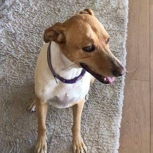 Meet your Posher, Mia